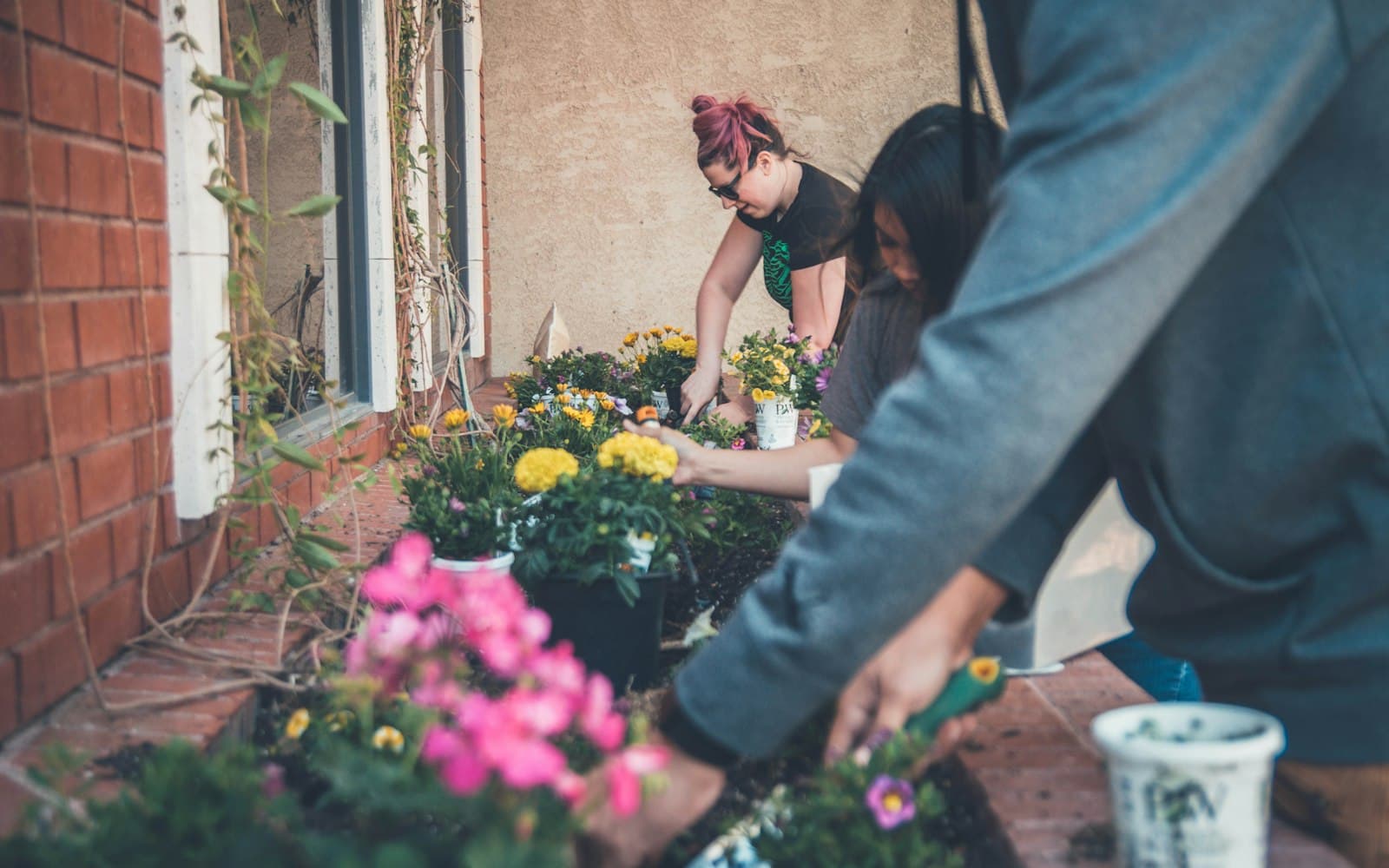Three people kneel and bend along a garden bed beside a building, planting colorful flowers into the soil.